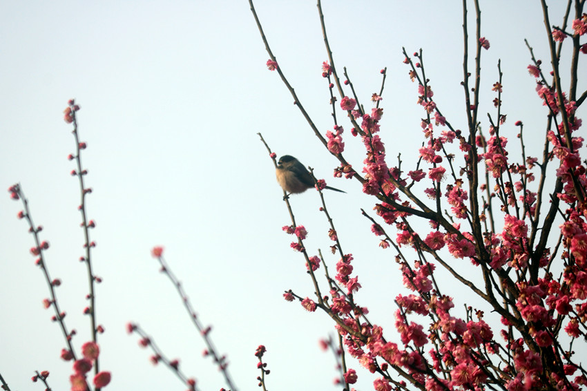 IMG_0998_副本.jpg