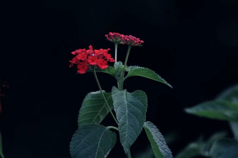 psb (2) - 副本.jpg