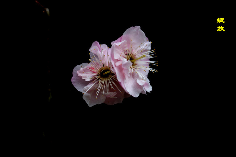 IMG_2396_副本_副本.jpg