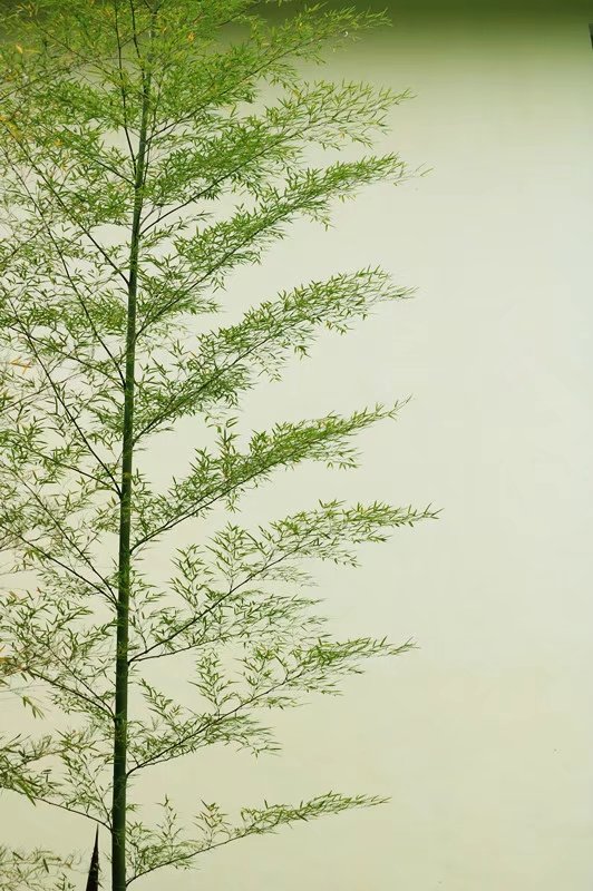 psb (3).jpg