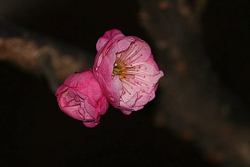 psb (9).jpg