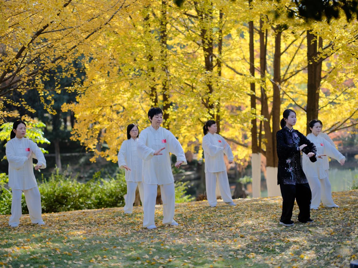 微信图片_20251128171806_331_765