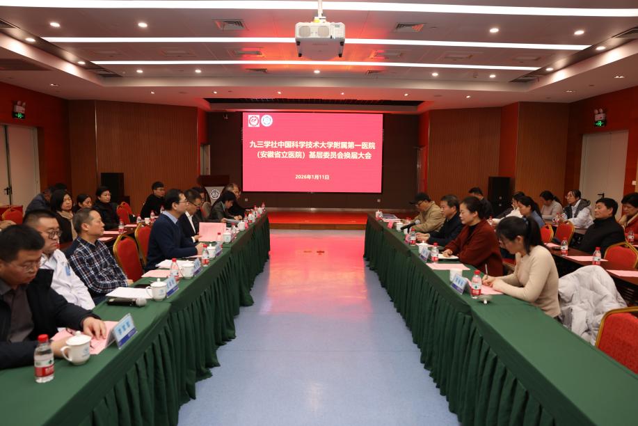 dea782121e82d368f2d9d16c67db8350