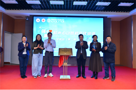 2452401422bb8389269666c7df2bf281