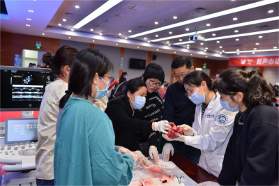 b691e400ffbc9252ca39fb43c3e06f94