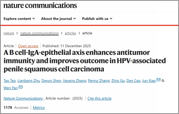 c1dbf772-79e1-40ea-99e2-a30fd425e98e